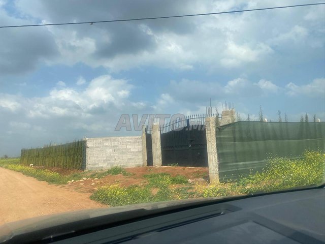 Terrain titré 5248m2 -Oulad yahya louta -Bensliman