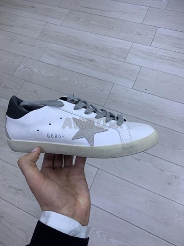 Golden goose 