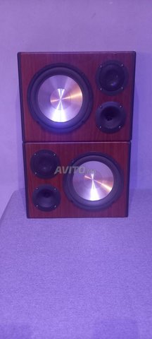 enciente vintage continental éditon 300  watts 