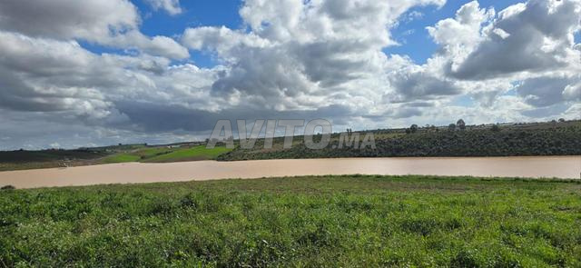 أرض فلاحية  محفظة 