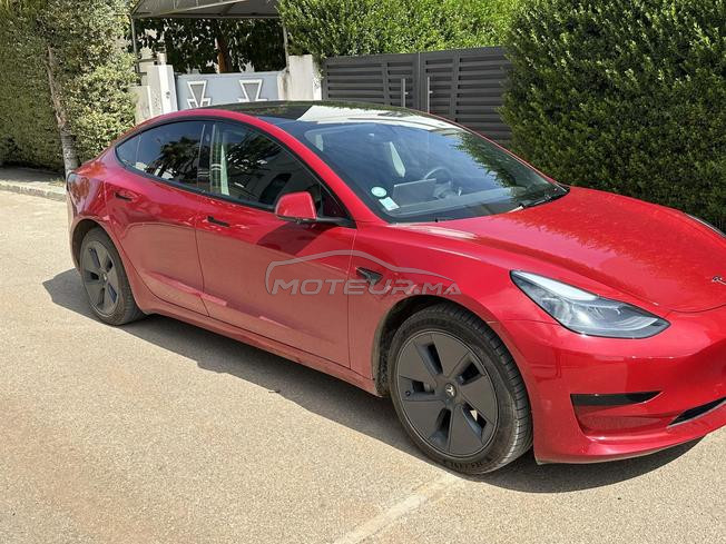 model 3 standard plus 2021