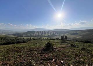 Terrain de 9000 mètre à vendre à Bni Karrich