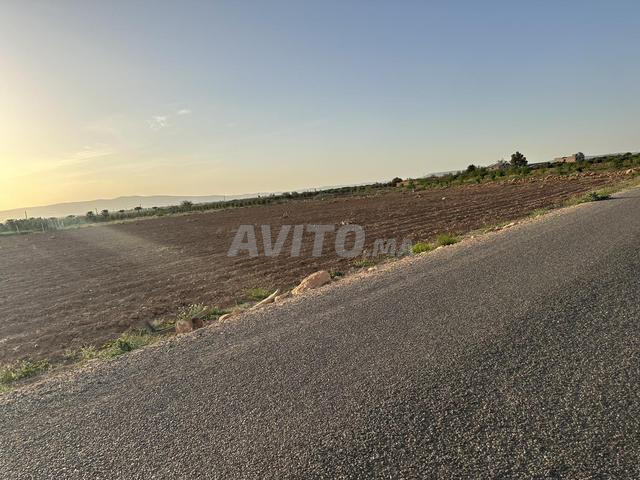 1 Hectare titrée agricole 10 km à oujda