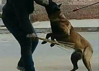 télécharge Marrakech très corica professionnel