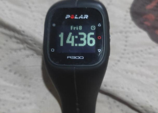 polar A300