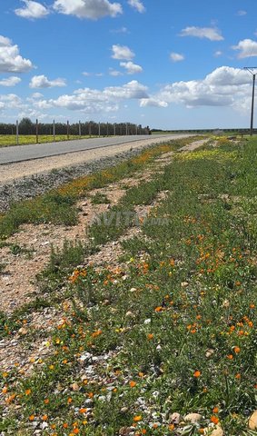 أرض محفظة 9000 متر مرخصة بناء على كودرون