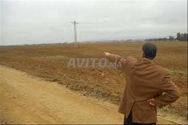 (أرض محفظة للبيع بمنطقة صناعية(ثلاثة هكتارات