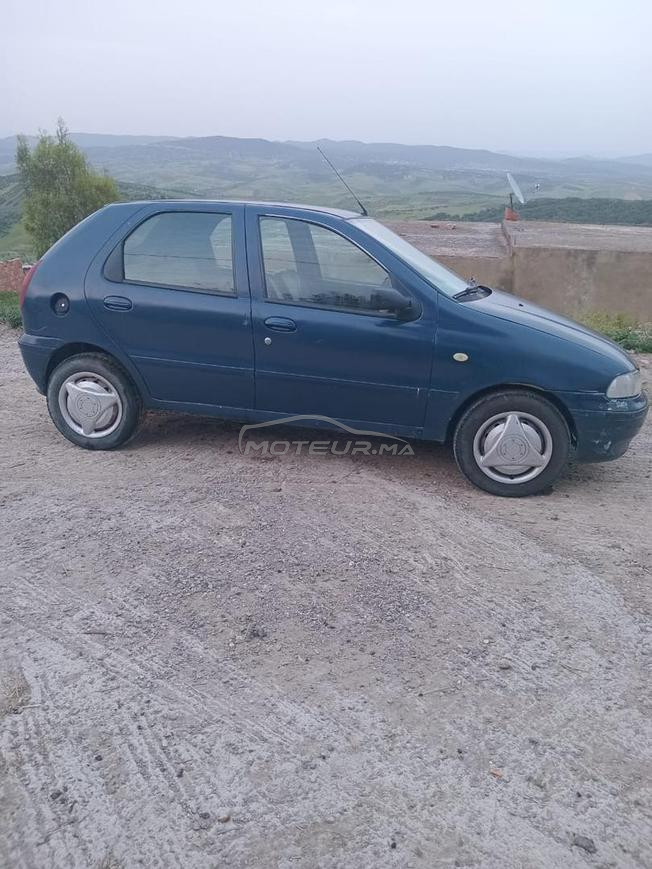 fiat palio mazott