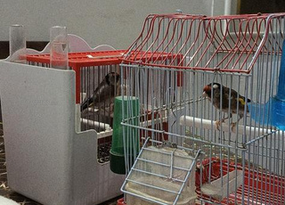 2 m9nin dkora ktar mn 3 ans 