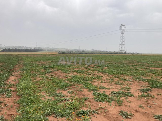  أرض للبيع في المجدبة  القرب من دريم فيلاج