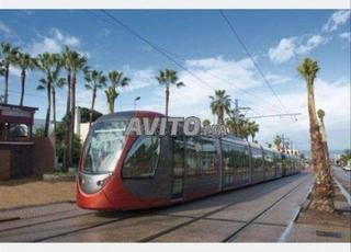 مفروش يومياً للأزواج والفتيات العازبات