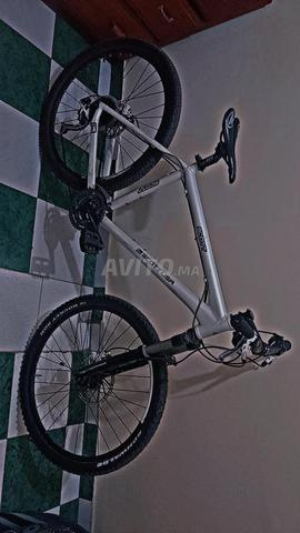 VTT sportive SCOTT USA 