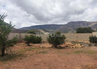 terrain aqesri 1000 mètre 