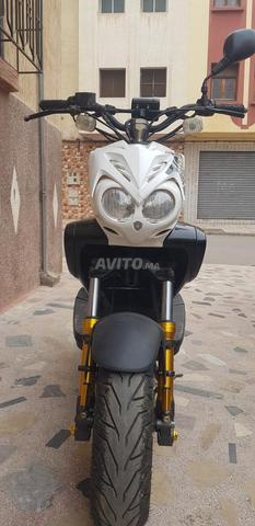Vente moto Stunt MBK