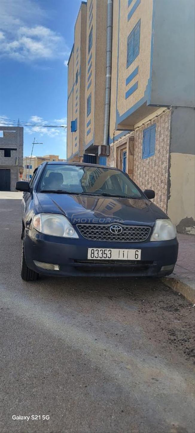 corolla 