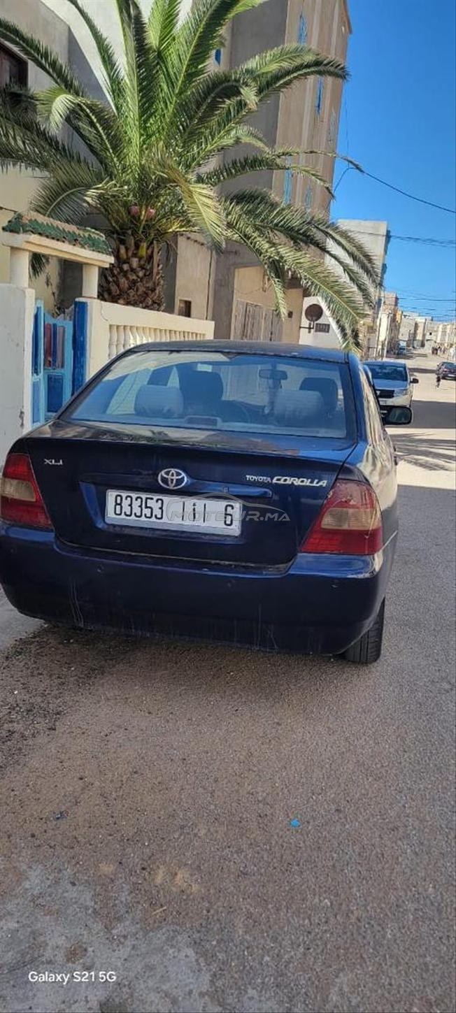corolla 