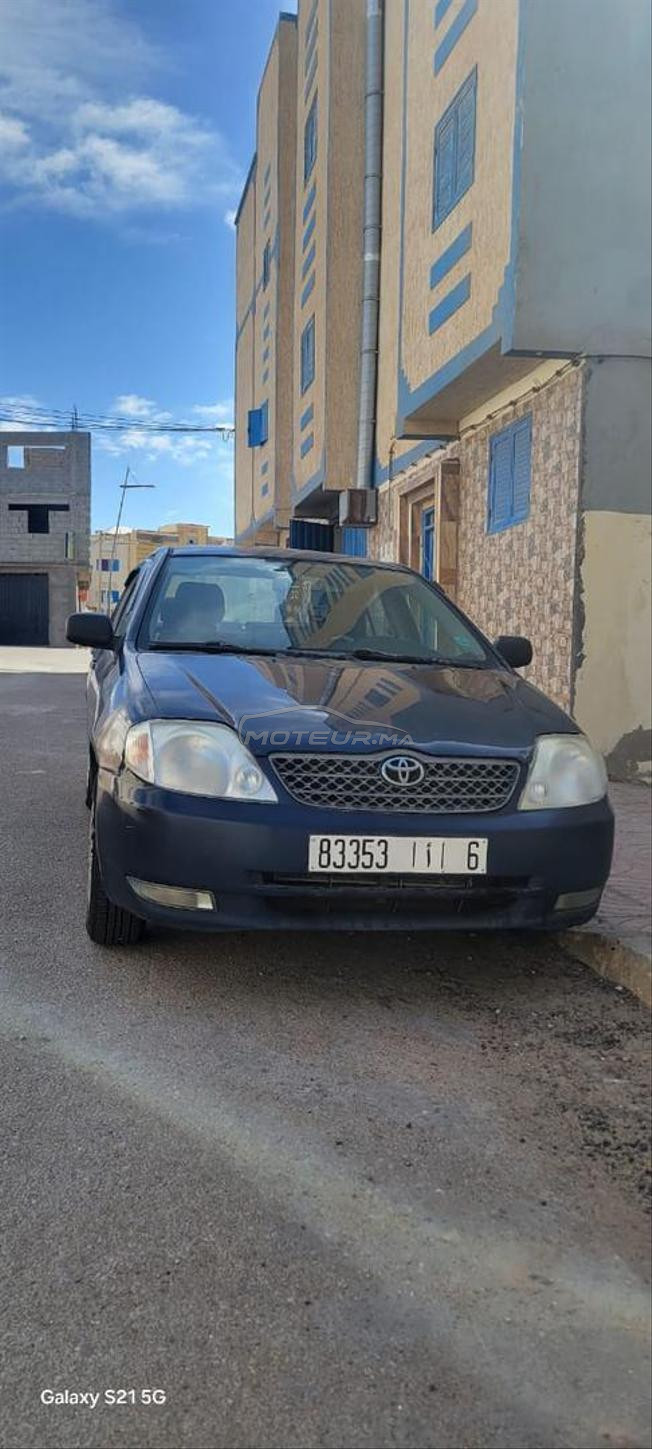 corolla 