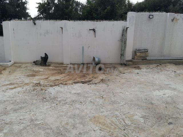 kayn vilat bezaf u aradi marhba - 2