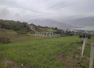 للبيع - أرض بمساحة 6,400 متر مربع في دار بني قريش 