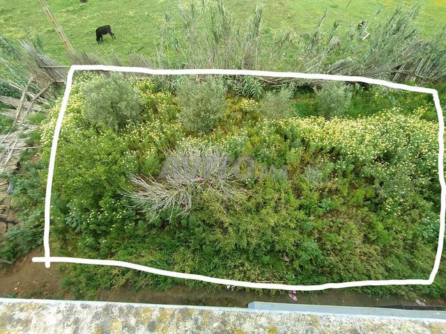  للبيع قطعة أرض رائعة بمساحة 156 متر مربع، 