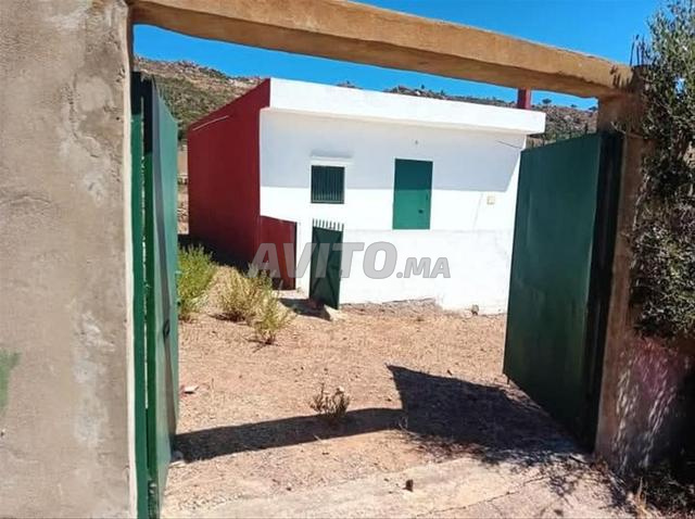 أرض للبيع فيها 300 متر في عين بلوط طنجة