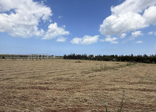 Hectare titré emplacement extraordinaire 