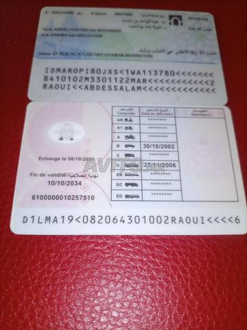 Chauffeur professionnel 