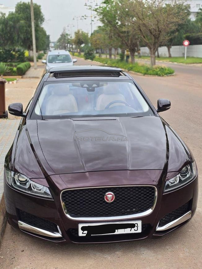 Jaguar XF Diesel Automatique 2019 à Casablanca