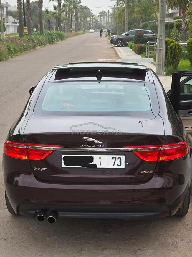 Jaguar XF Diesel Automatique 2019 à Casablanca