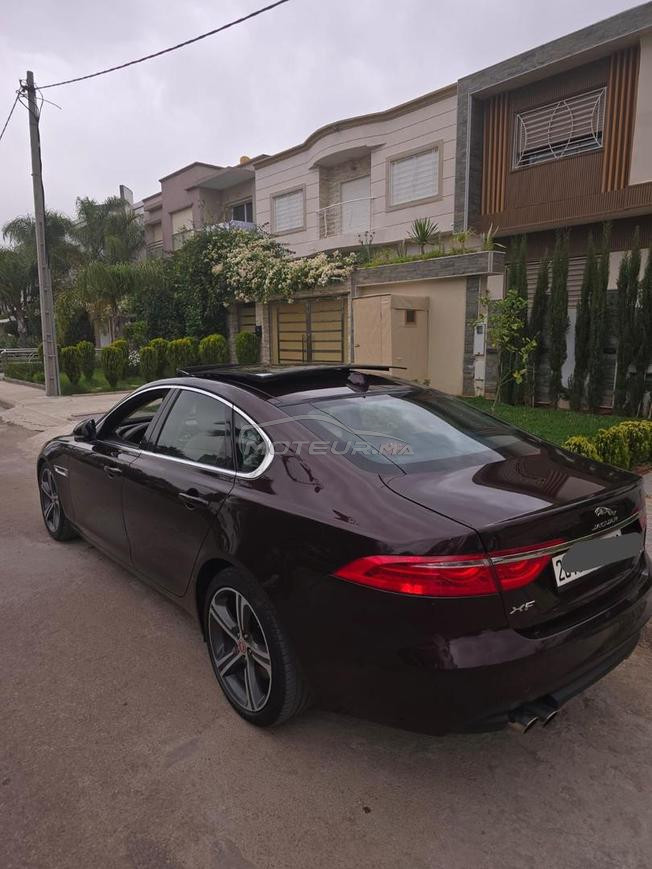 Jaguar XF Diesel Automatique 2019 à Casablanca