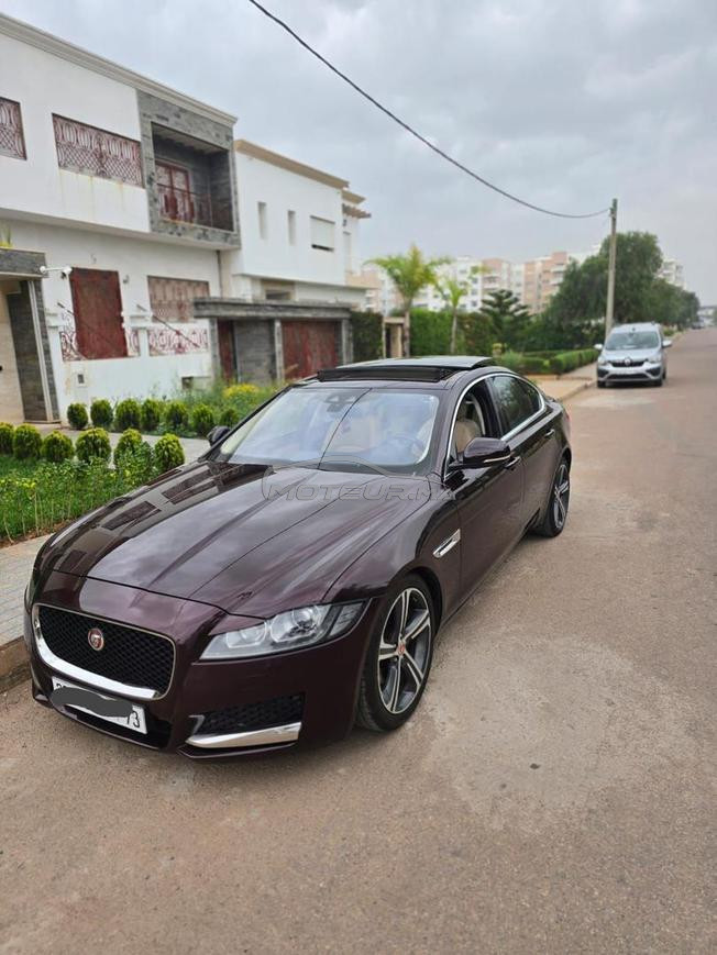 Jaguar XF Diesel Automatique 2019 à Casablanca
