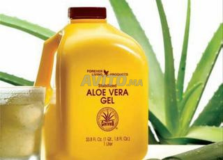 Aloe Vera Gel Pulpe 