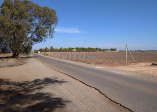 a vendre trois lots de terrains titrés 