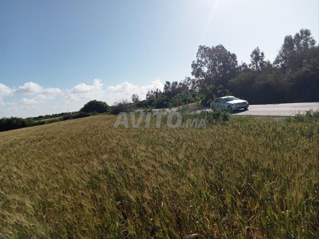 ارض بموقع استراتيجي قرب طريق سيار