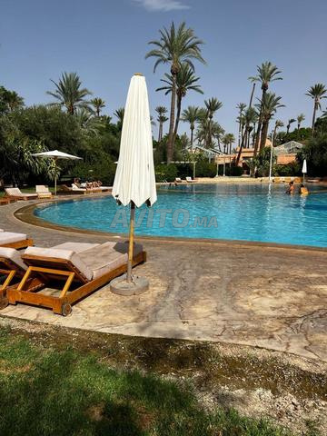 appartement location jour la palmeraie