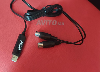 Cable midi neuf