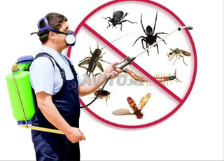 dératisation, désinsectisation et désinfection
