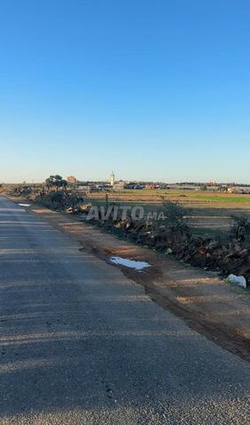 سبعة هكتارات محفضة على كودرون 26مليون هكتار