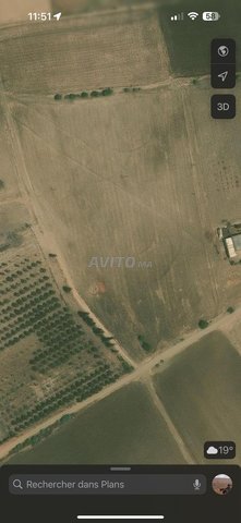 Très bon terrain de deux hectares Bien situé 