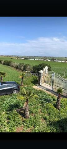 انا سائق محترف دو خبرة 20سنة ابحت عن عمل