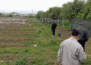 Ferme 2 Hectar à vendre