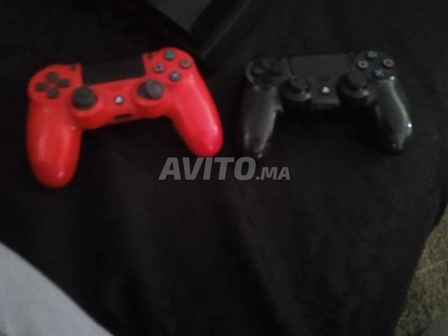 mimosa Mohamadia - 2