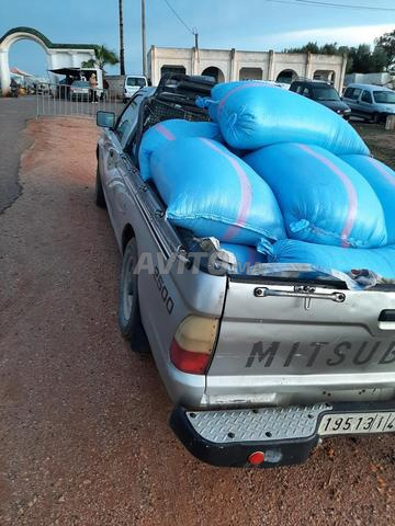 بيكوب ميتشي