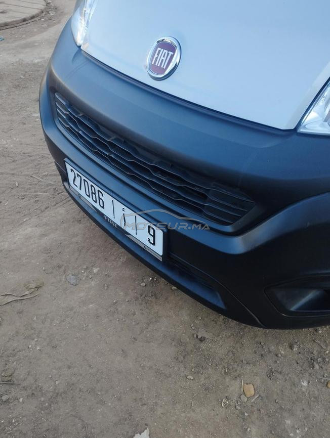 fait fiorino 2018 mazal  98 alf