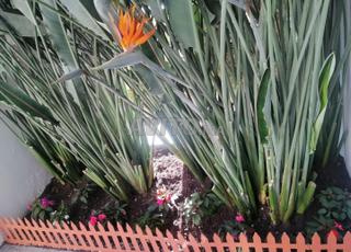 jardiner 25 ans d experience