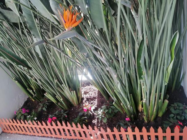 jardiner 25 ans d experience