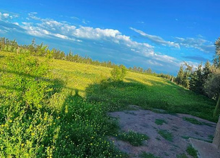 une belle ferme a vendre 