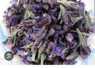 الحلحال الخزامى البرية