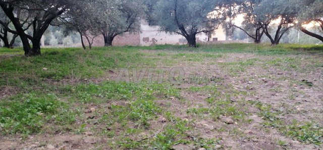 🏡 أرض للبيع على الطريق الوطنية رقم 8 🛣 