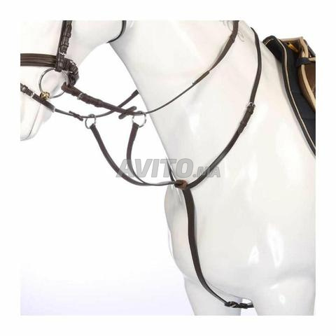 Martingale Kavalkade Ecoline marron